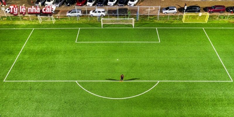 Kết hợp dữ liệu trận đấu với tỷ lệ nhà cái nâng cao độ chính xác