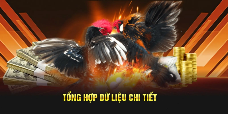 Tổng hợp dữ liệu chi tiết
