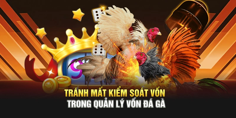 Tránh mất kiểm soát vốn trong quản lý vốn đá gà