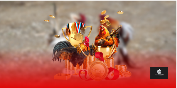 Sabong67 hiện là website được đông đảo thành viên tin tưởng