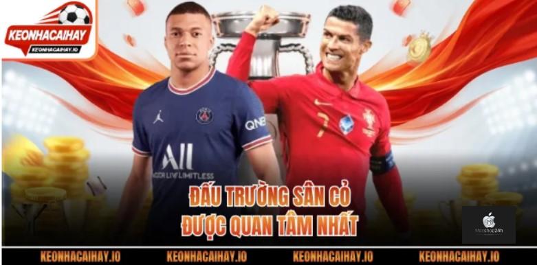 Đấu trường sân cỏ được quan tâm nhất