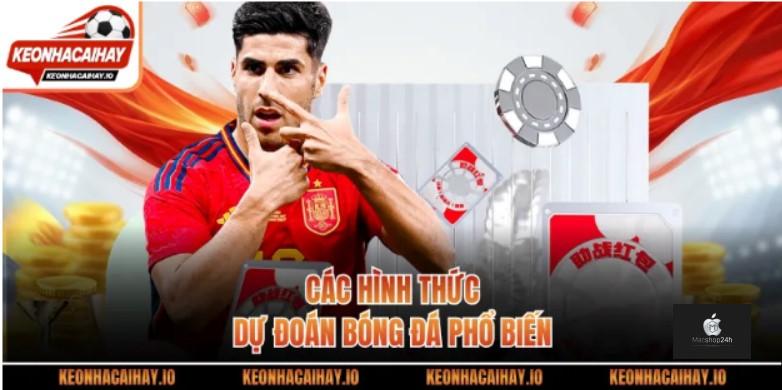 Các hình thức dự đoán bóng đá phổ biến